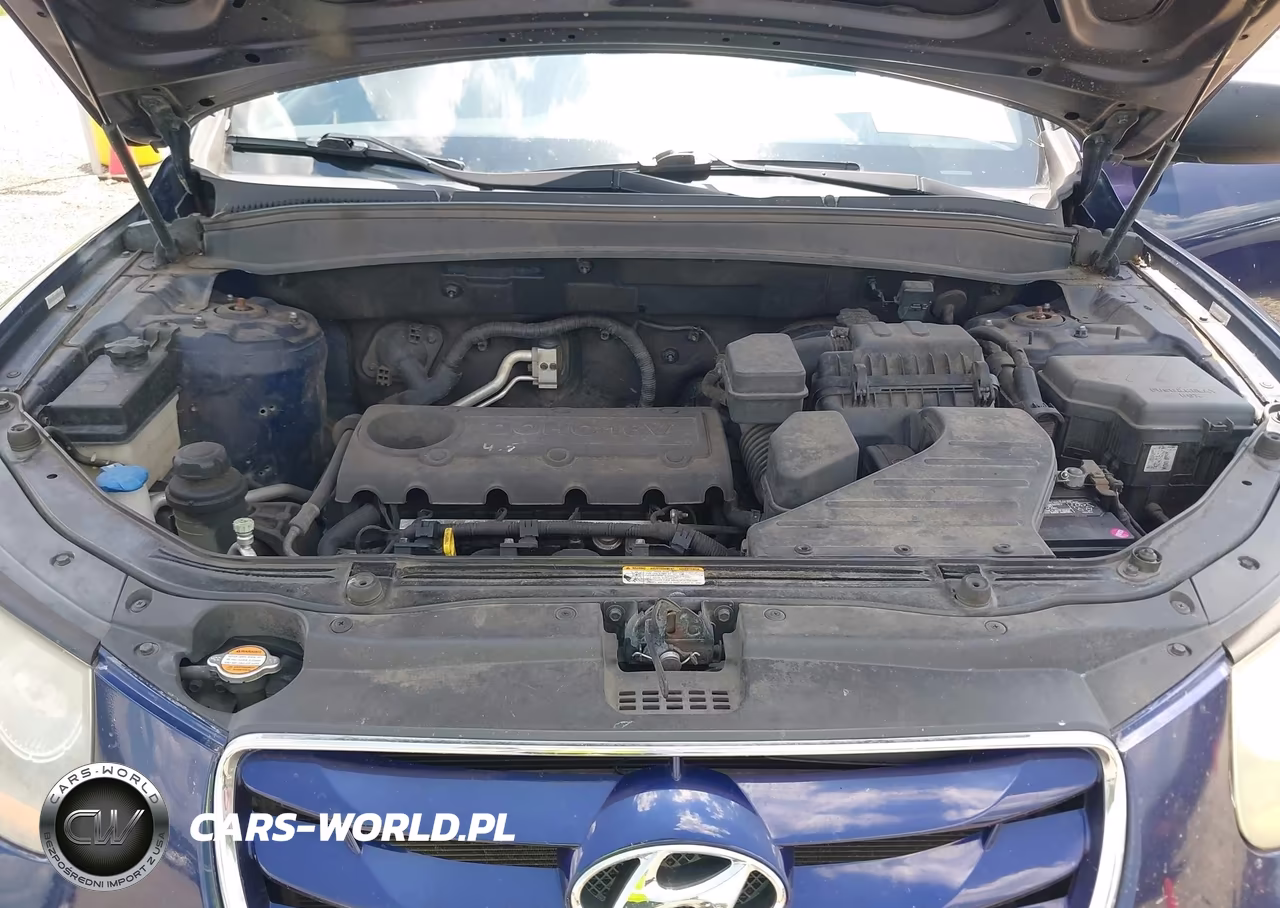 2010 Hyundai Santa Fe Gls VIN:5NMSG3AB0AH396552 - 10