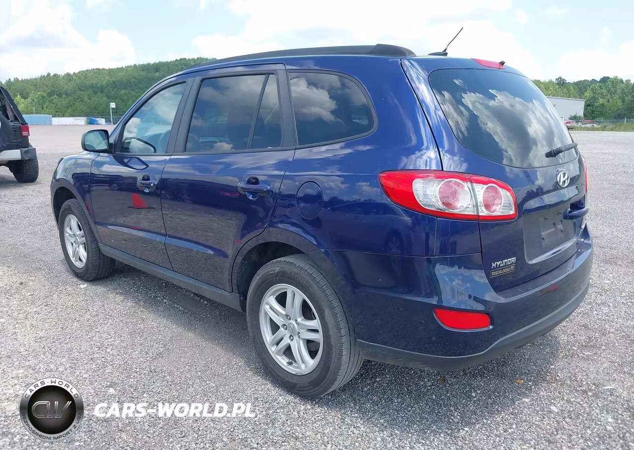 2010 Hyundai Santa Fe Gls VIN:5NMSG3AB0AH396552 - 3