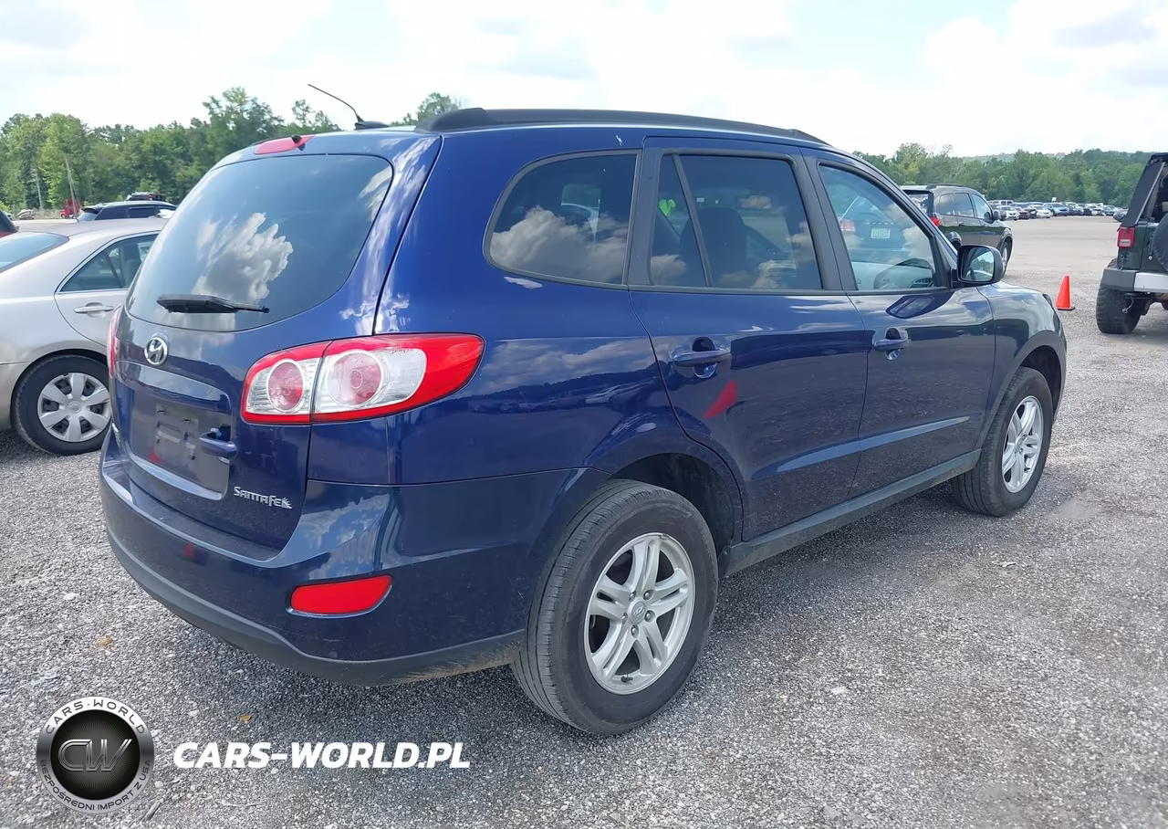 2010 Hyundai Santa Fe Gls VIN:5NMSG3AB0AH396552 - 4