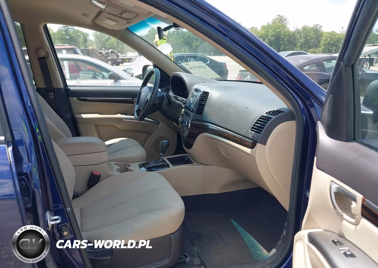 2010 Hyundai Santa Fe Gls VIN:5NMSG3AB0AH396552 - 5