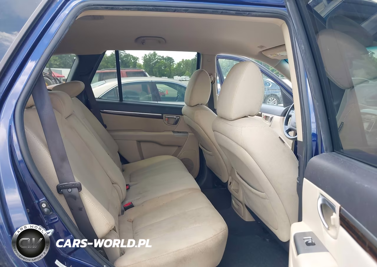 2010 Hyundai Santa Fe Gls VIN:5NMSG3AB0AH396552 - 8