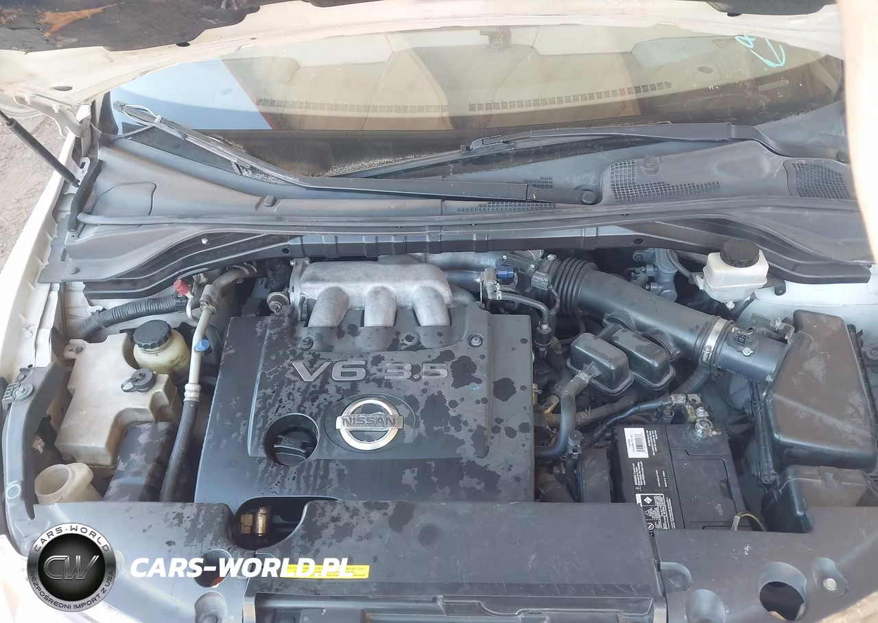 2006 Nissan Murano Sl VIN:JN8AZ08T66W419019 - 10