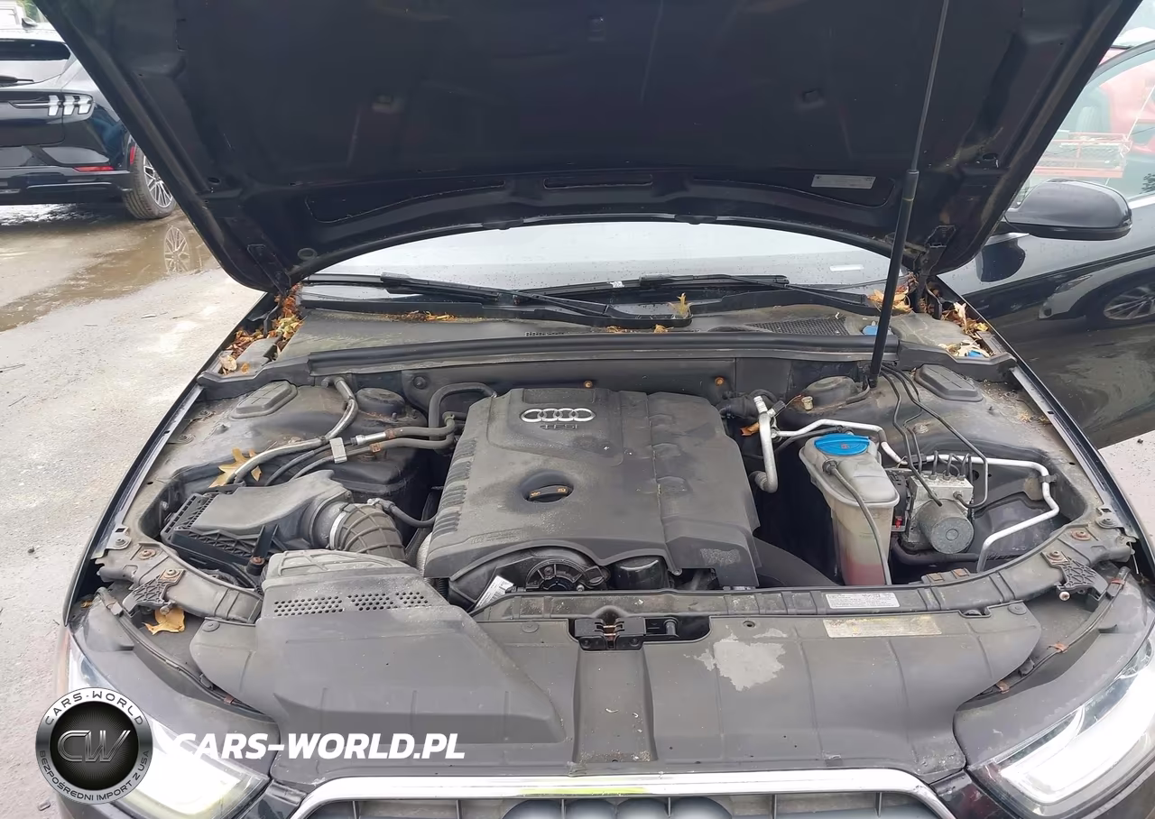 2013 Audi A4 2.0T Premium VIN:WAUFFAFL3DN019907 - 10