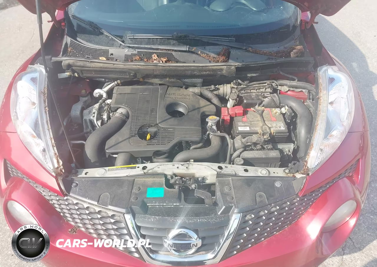 2014 Nissan Juke Sl VIN:JN8AF5MVXET482928 - 10