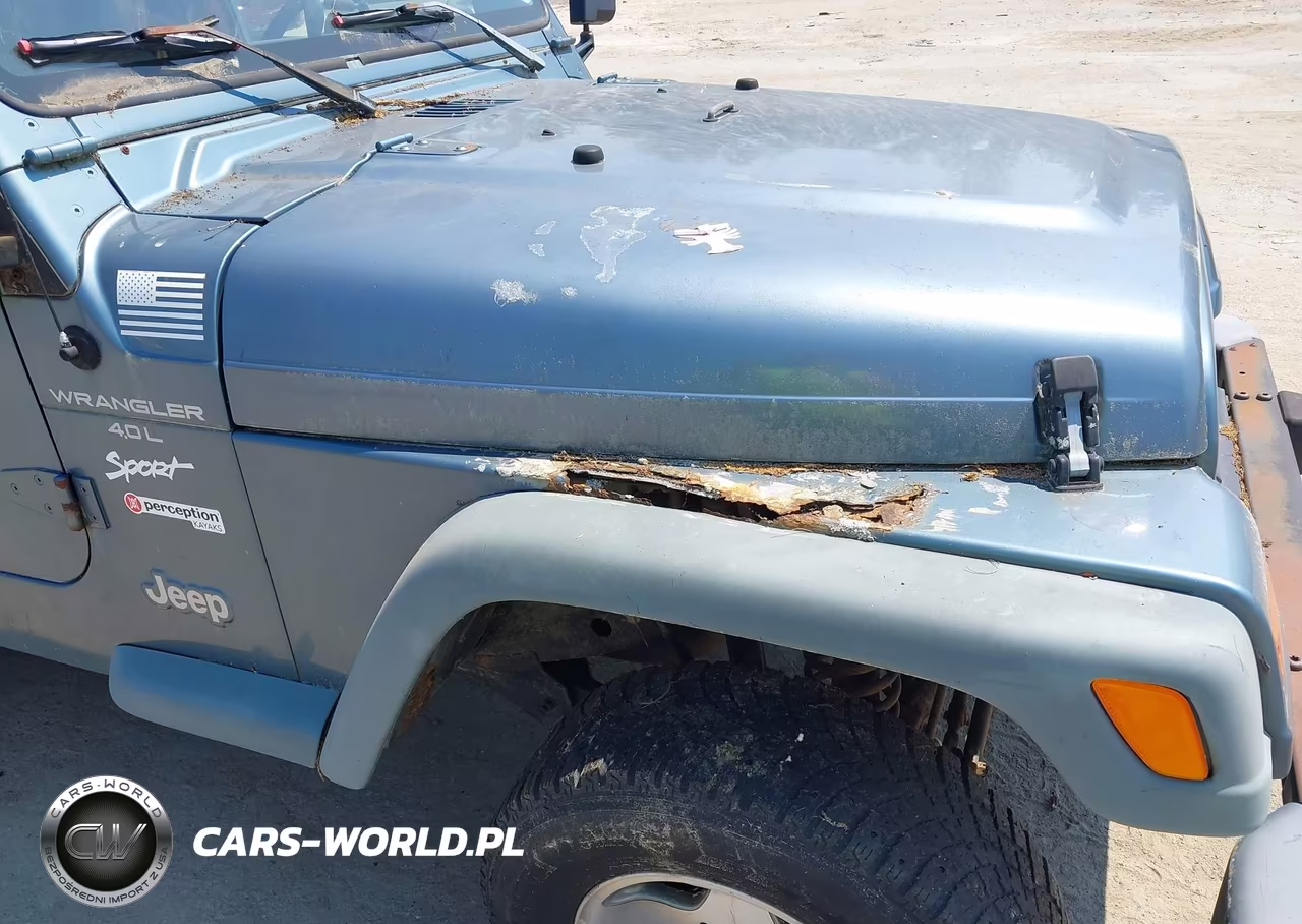 1998 Jeep Wrangler Sport VIN:1J4FY19S8WP709816 - 6