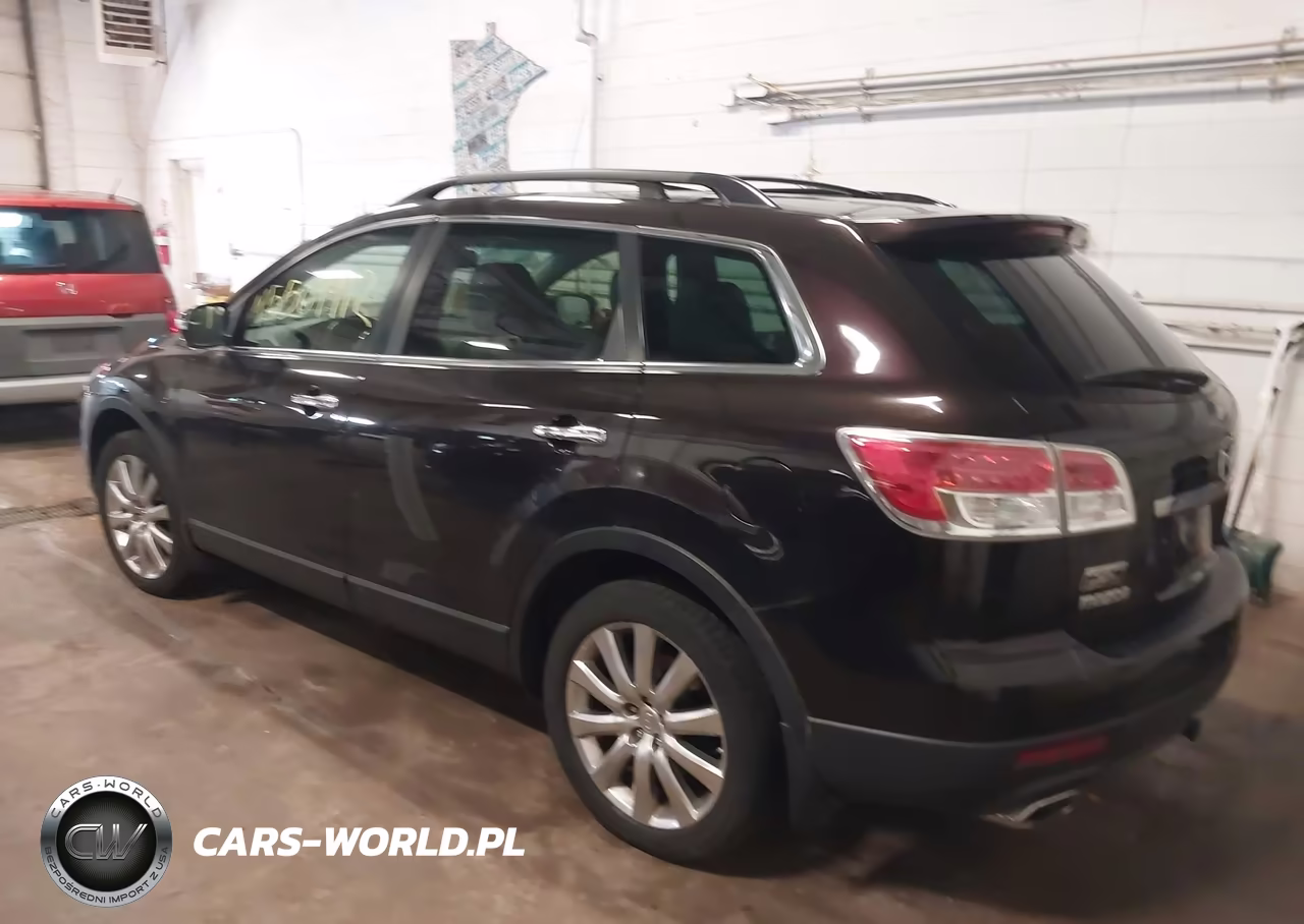 2009 Mazda Cx-9 Grand Touring VIN:JM3TB38V390171838 - 3
