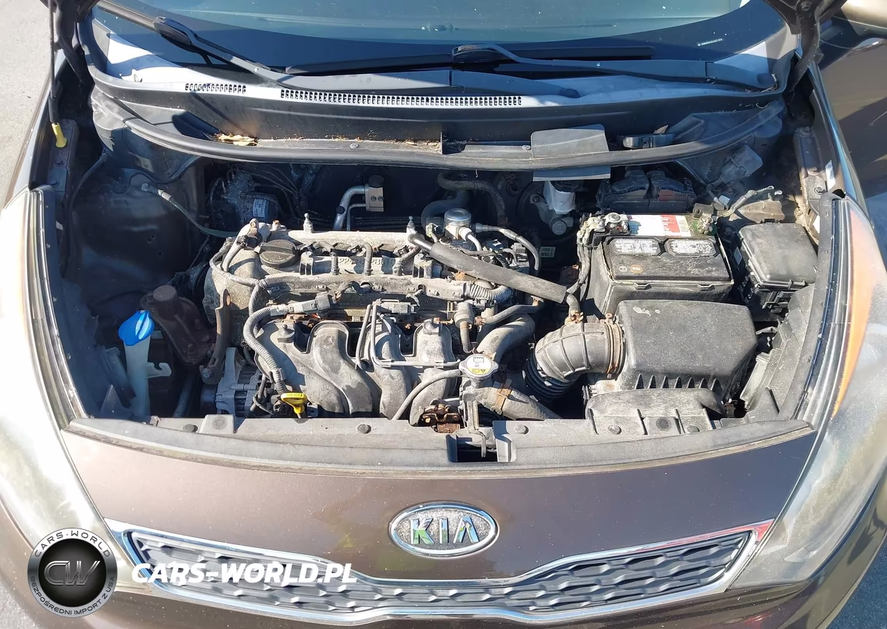 2012 Kia Rio5 Ex VIN:KNADN5A36C6027808 - 10