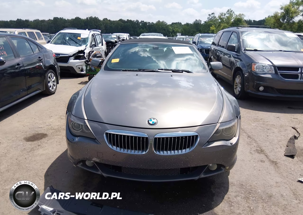 2006 BMW 650I VIN:WBAEK134X6CN76820 - 13