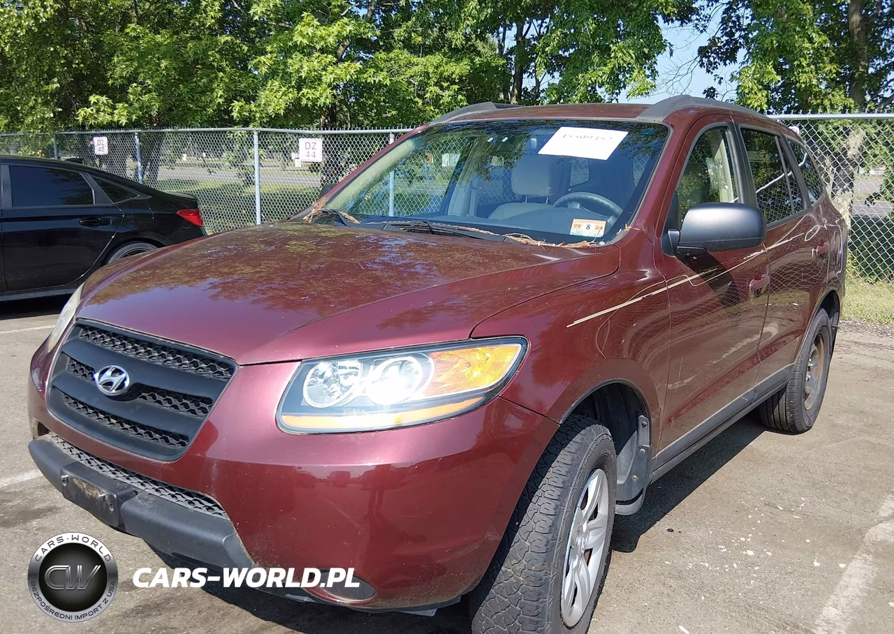 2009 Hyundai Santa Fe Gls VIN:5NMSG13D89H319331 - 2