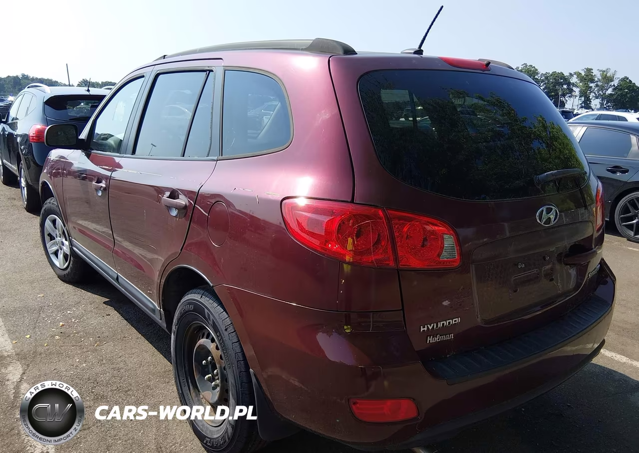 2009 Hyundai Santa Fe Gls VIN:5NMSG13D89H319331 - 3