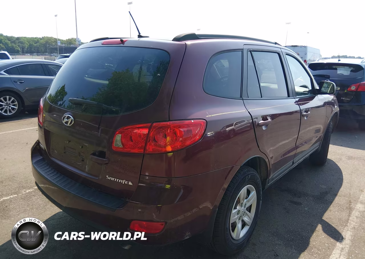 2009 Hyundai Santa Fe Gls VIN:5NMSG13D89H319331 - 4