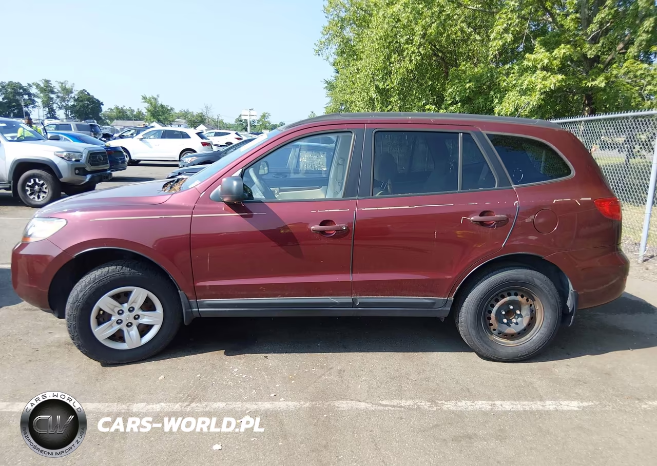 2009 Hyundai Santa Fe Gls VIN:5NMSG13D89H319331 - 6