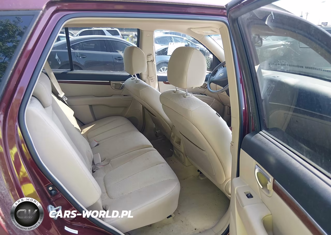 2009 Hyundai Santa Fe Gls VIN:5NMSG13D89H319331 - 8
