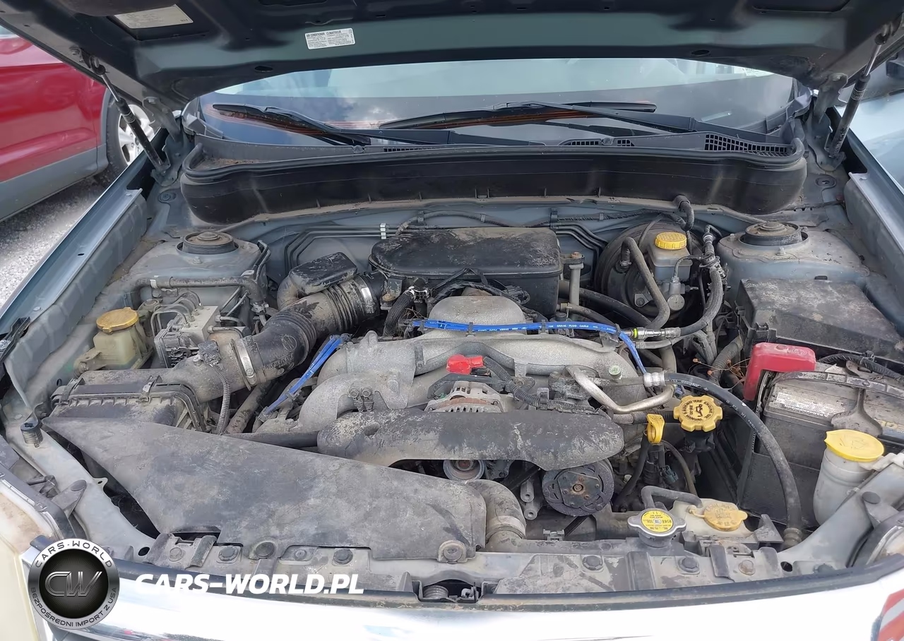 2010 Subaru Forester 2.5X Premium VIN:JF2SH6CC0AH762078 - 10
