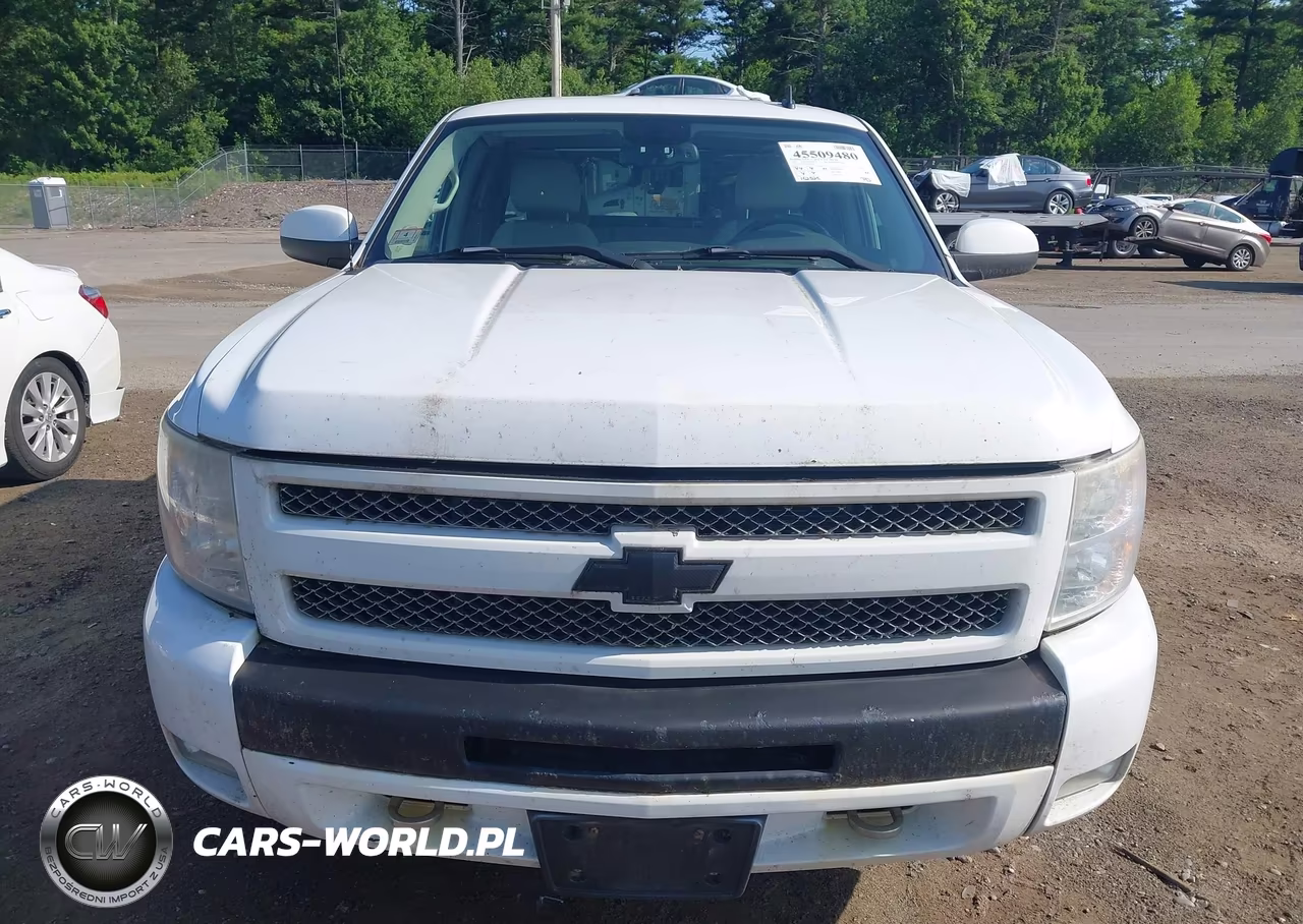 2009 Chevrolet Silverado 1500 Lt VIN:1GCEK29J89Z281481 - 12