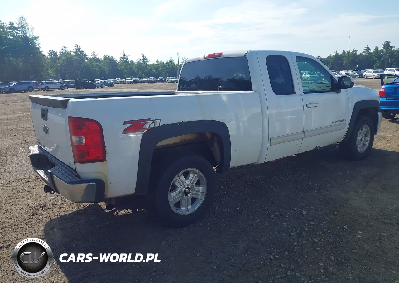 2009 Chevrolet Silverado 1500 Lt VIN:1GCEK29J89Z281481 - 4