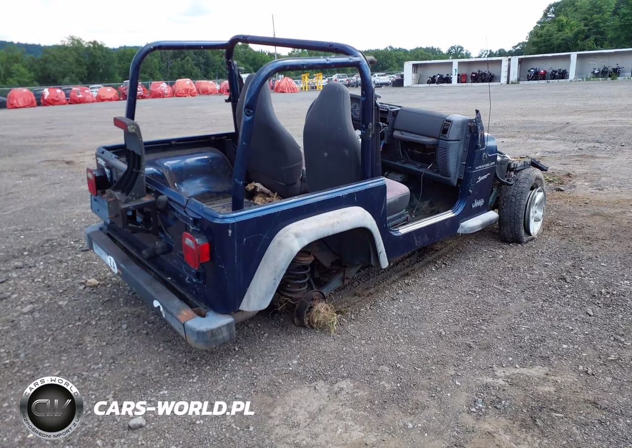 2002 Jeep Wrangler Sport VIN:1J4FA49SX2P704181 - 4