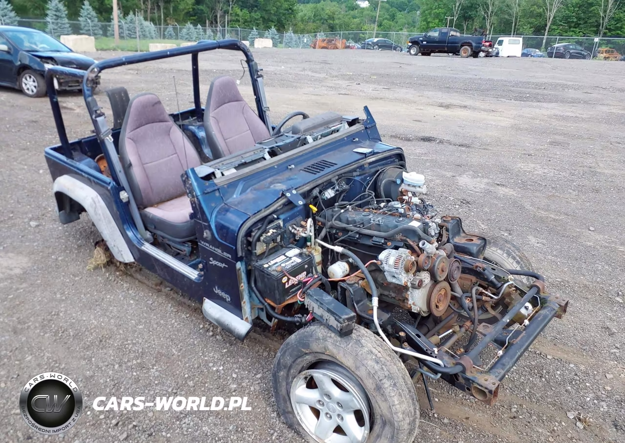 2002 Jeep Wrangler Sport VIN:1J4FA49SX2P704181 - 6
