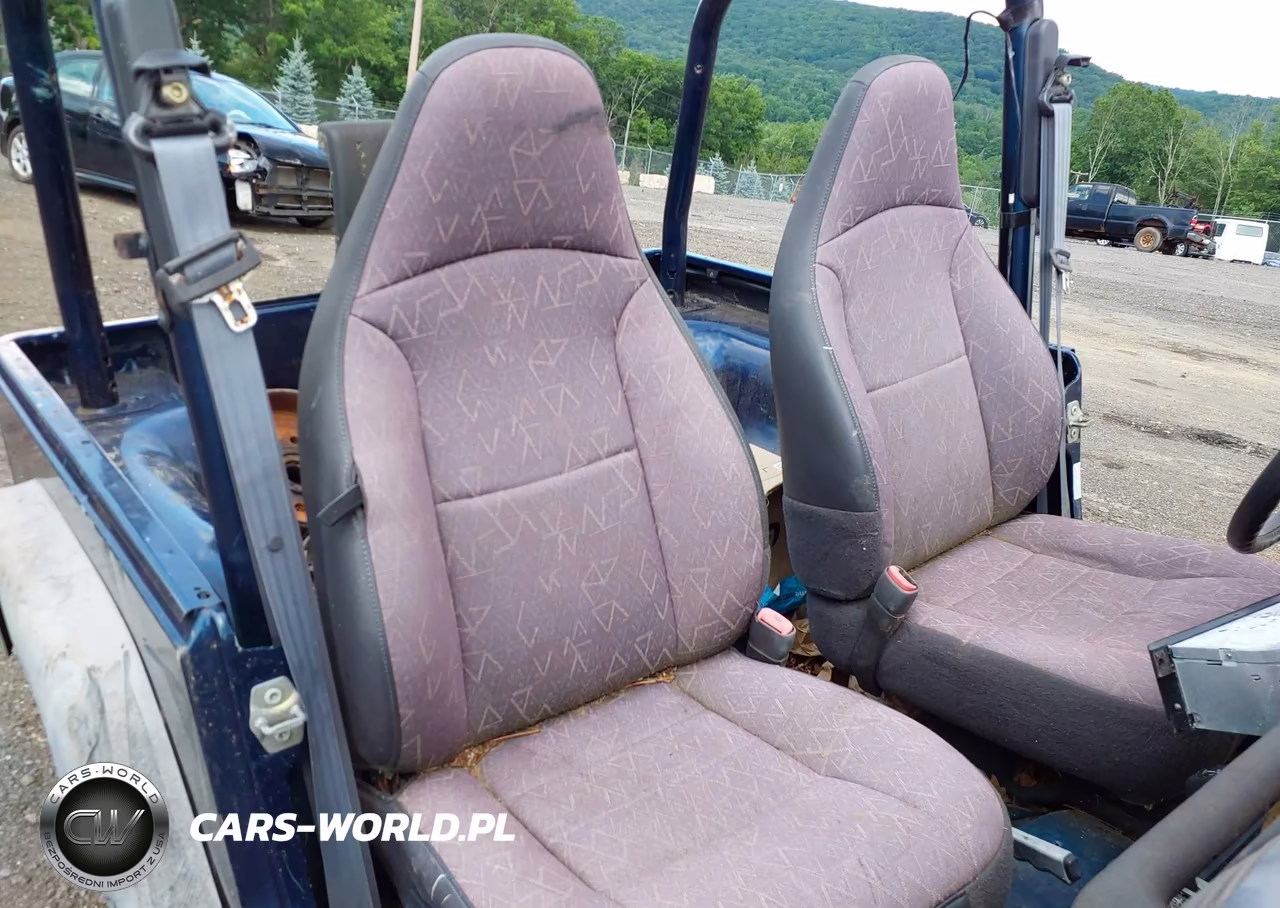 2002 Jeep Wrangler Sport VIN:1J4FA49SX2P704181 - 8