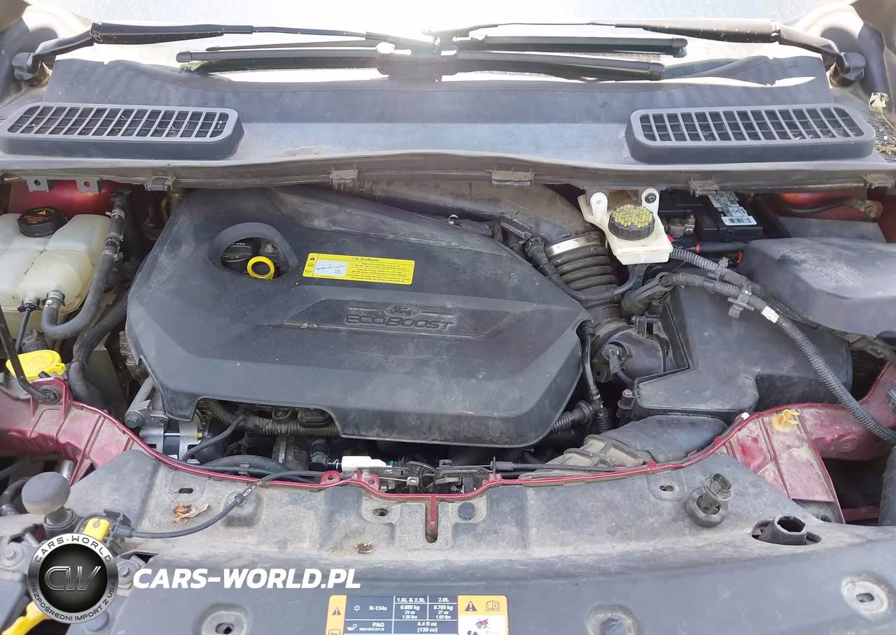 2014 Ford Escape Se VIN:1FMCU9GX5EUA62837 - 10