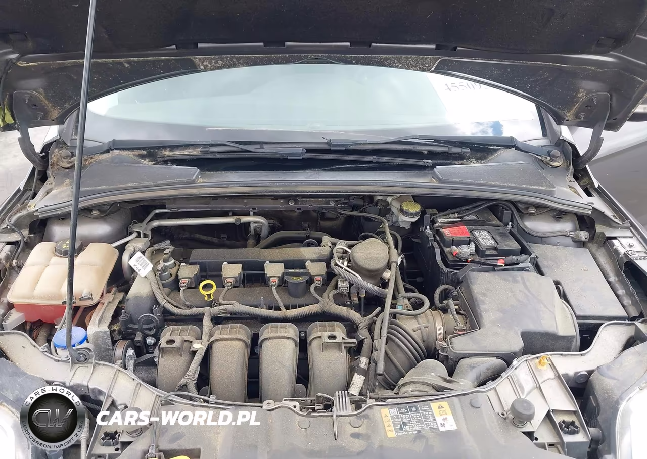 2014 Ford Focus Se VIN:1FADP3F25EL379029 - 10