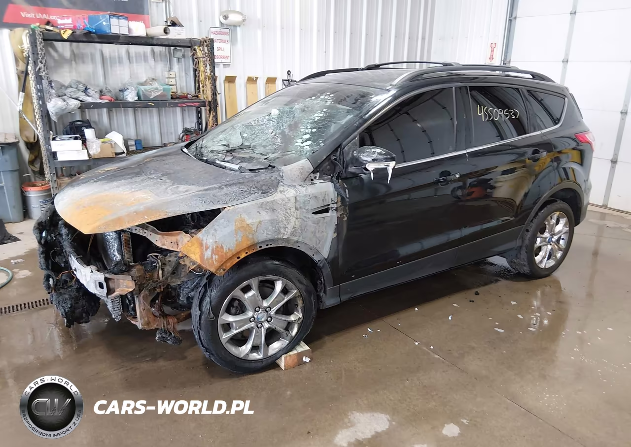 2013 Ford Escape Sel VIN:1FMCU0HX0DUC10174 - 2