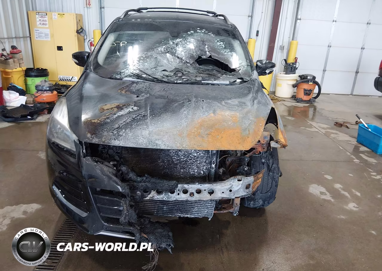2013 Ford Escape Sel VIN:1FMCU0HX0DUC10174 - 6