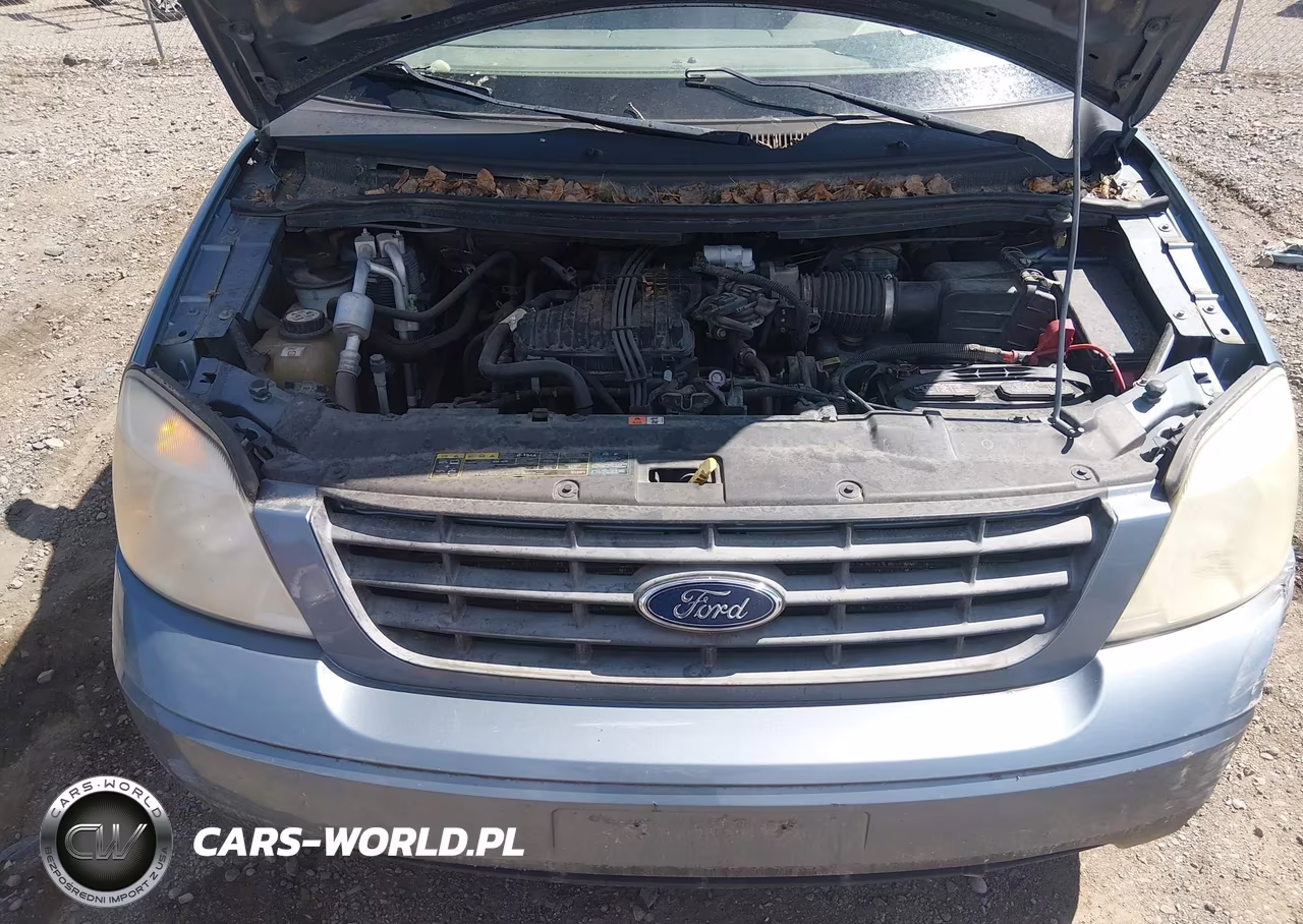 2004 Ford Freestar Ses VIN:2FMDA576X4BA42939 - 10