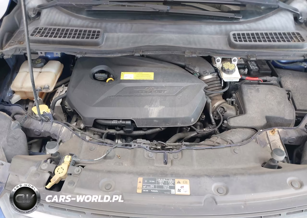 2016 Ford Escape Se VIN:1FMCU0GX4GUB44010 - 10