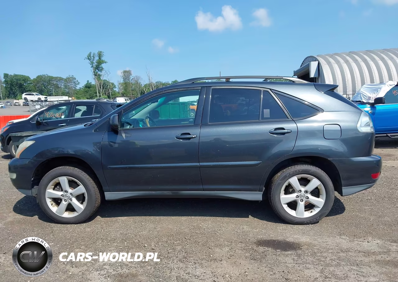 2004 Lexus Rx 330 VIN:2T2HA31U04C035423 - 14