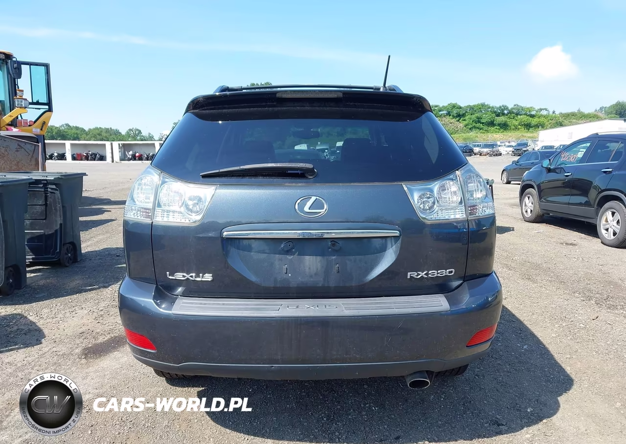 2004 Lexus Rx 330 VIN:2T2HA31U04C035423 - 16
