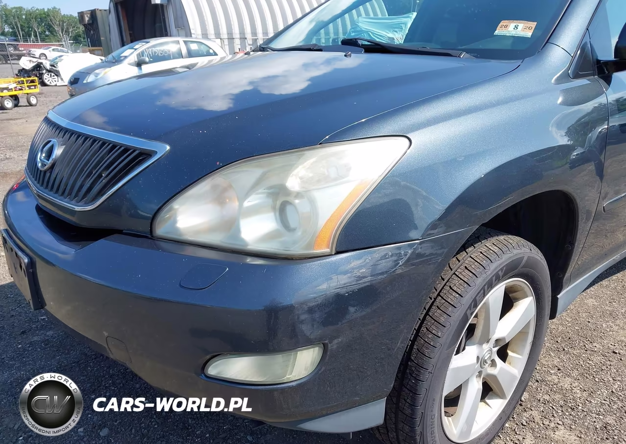 2004 Lexus Rx 330 VIN:2T2HA31U04C035423 - 6