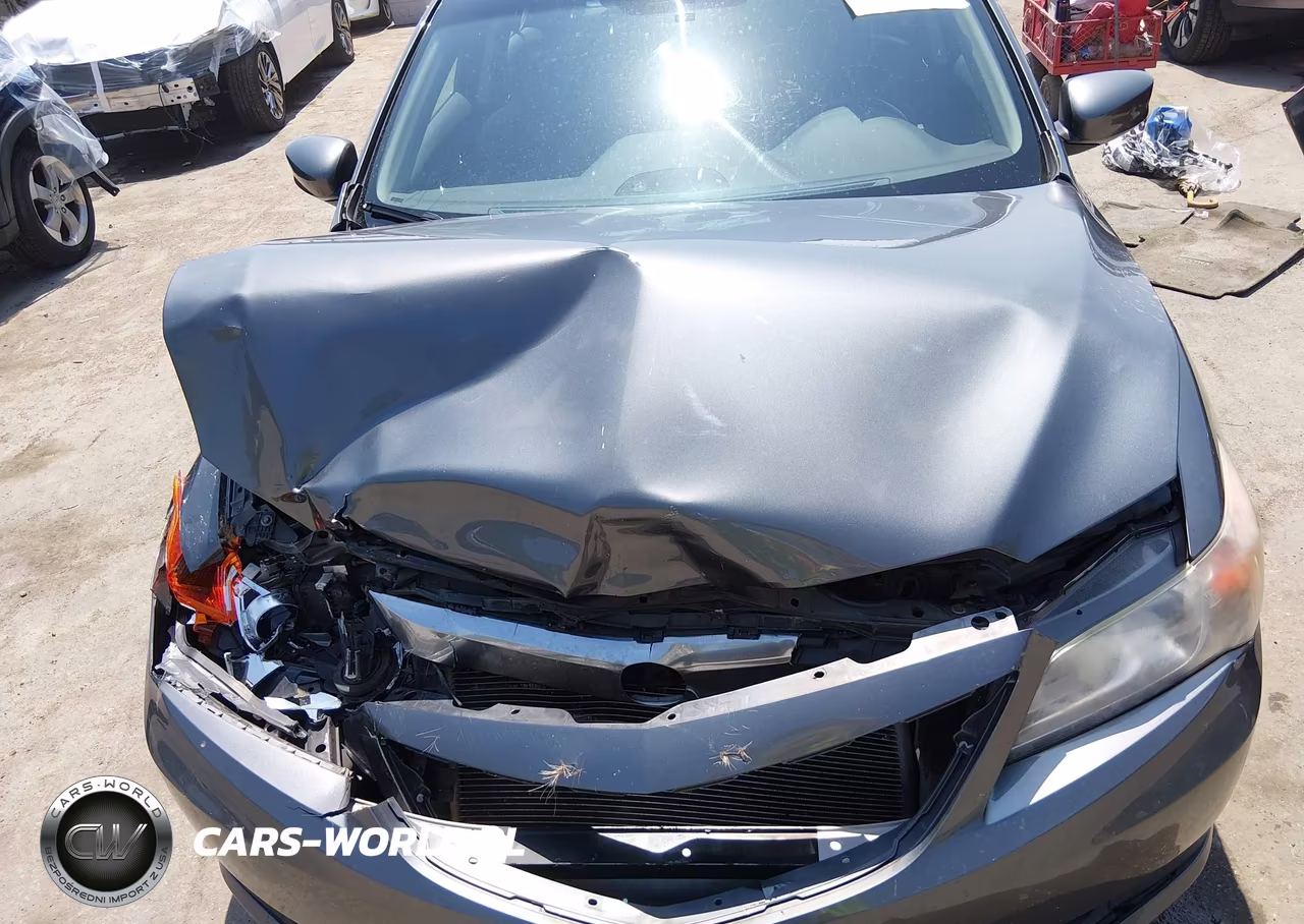 2013 Acura Ilx 2.0L VIN:19VDE1F32DE009279 - 10
