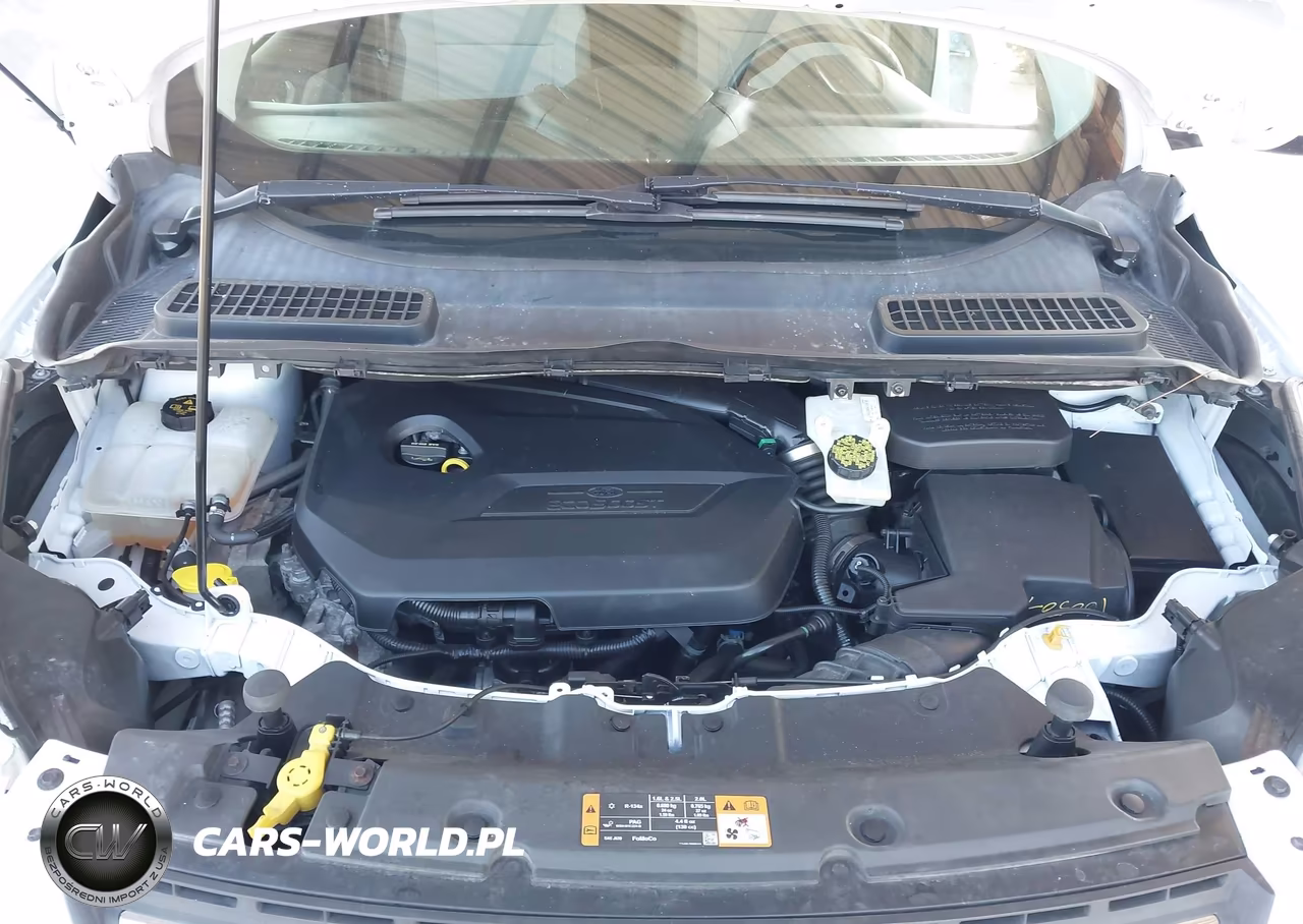 2014 Ford Escape Se VIN:1FMCU0GX0EUD26168 - 10