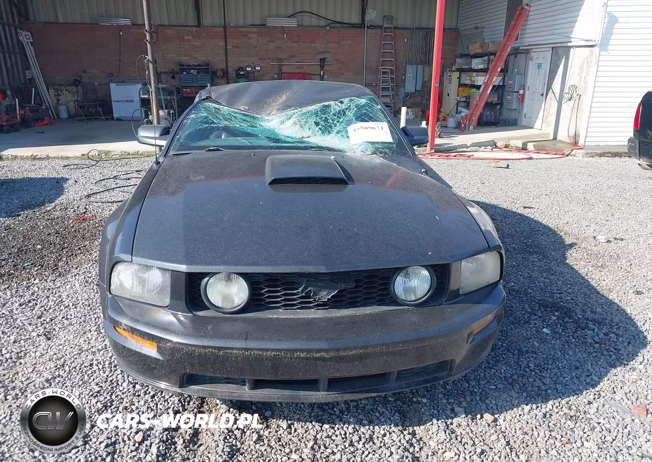 2007 Ford Mustang Gt Deluxe-Gt Premium VIN:1ZVHT82H175266214 - 12