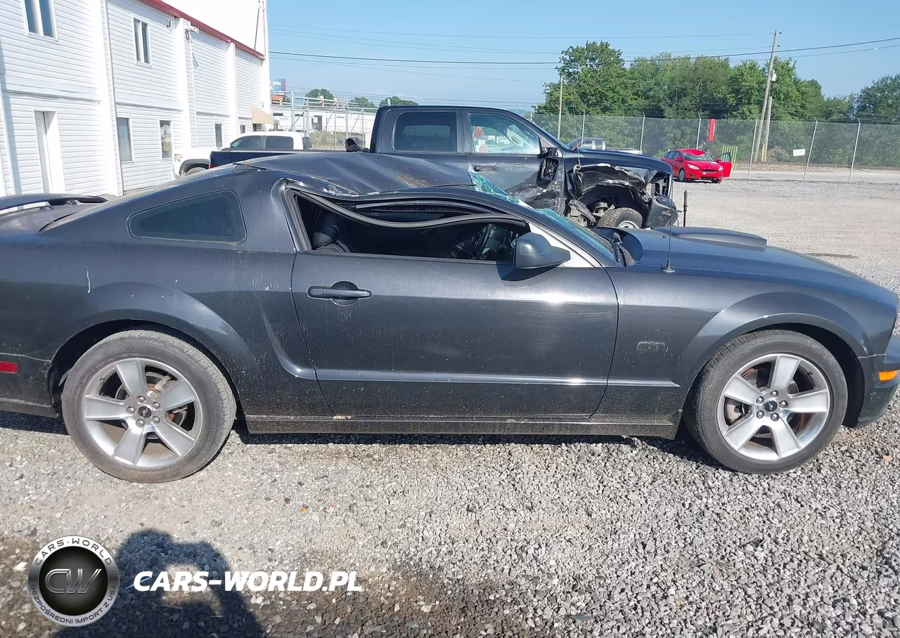 2007 Ford Mustang Gt Deluxe-Gt Premium VIN:1ZVHT82H175266214 - 13