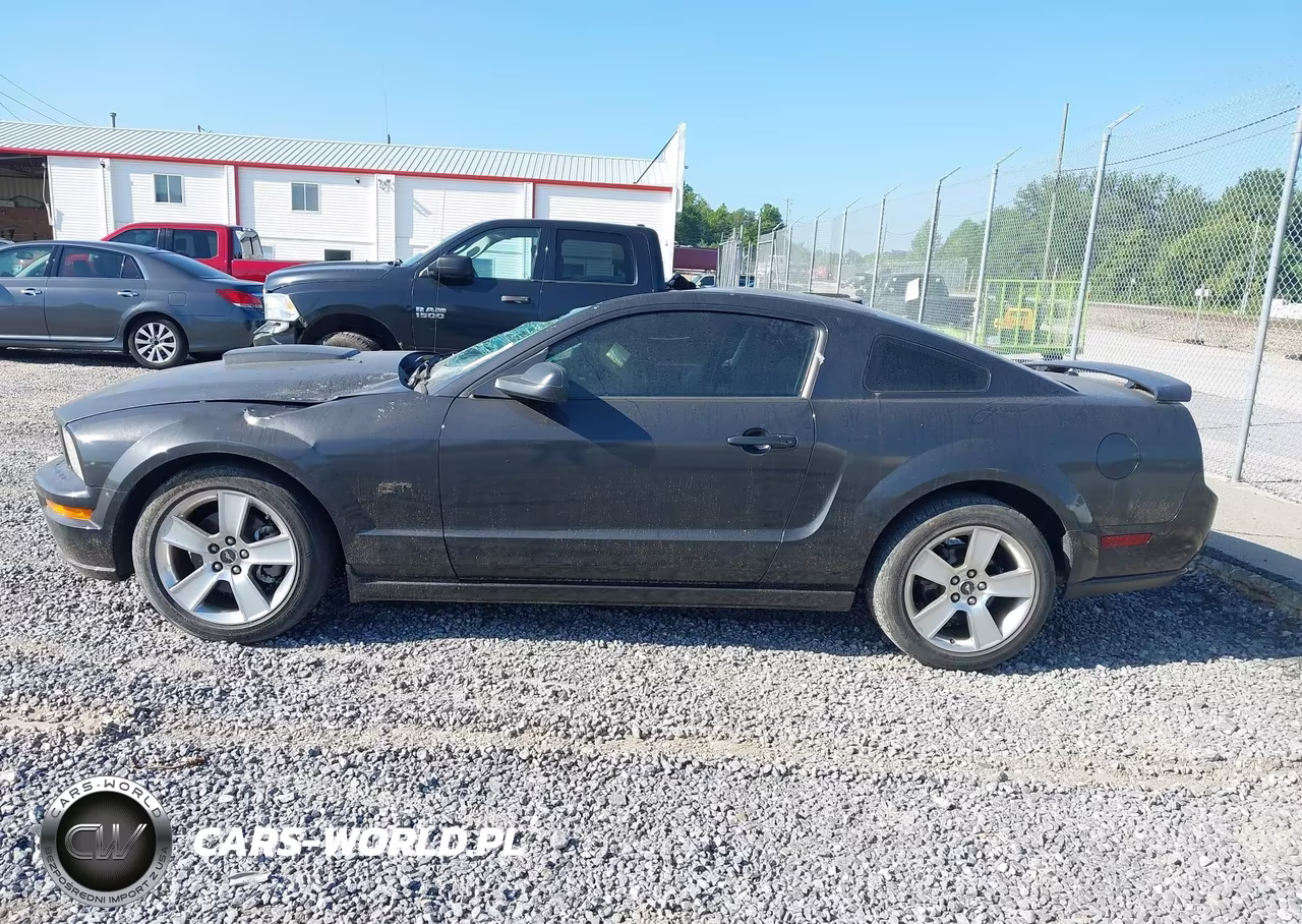 2007 Ford Mustang Gt Deluxe-Gt Premium VIN:1ZVHT82H175266214 - 14