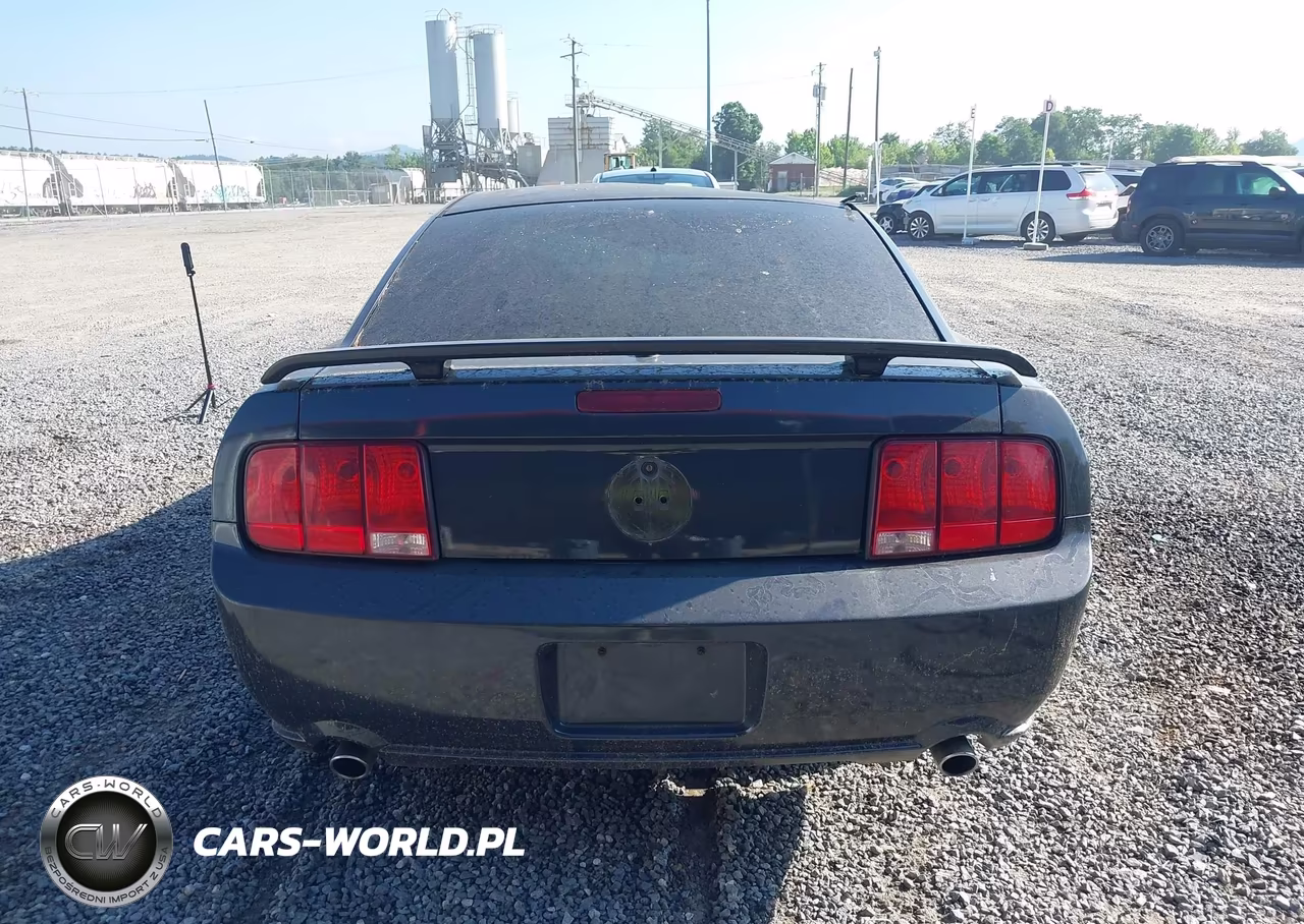 2007 Ford Mustang Gt Deluxe-Gt Premium VIN:1ZVHT82H175266214 - 16