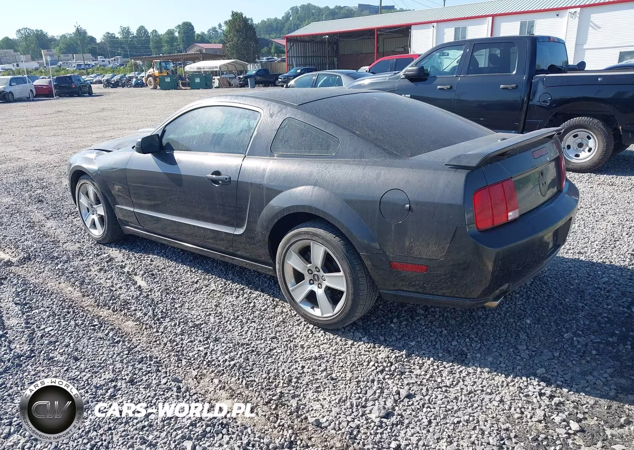 2007 Ford Mustang Gt Deluxe-Gt Premium VIN:1ZVHT82H175266214 - 3