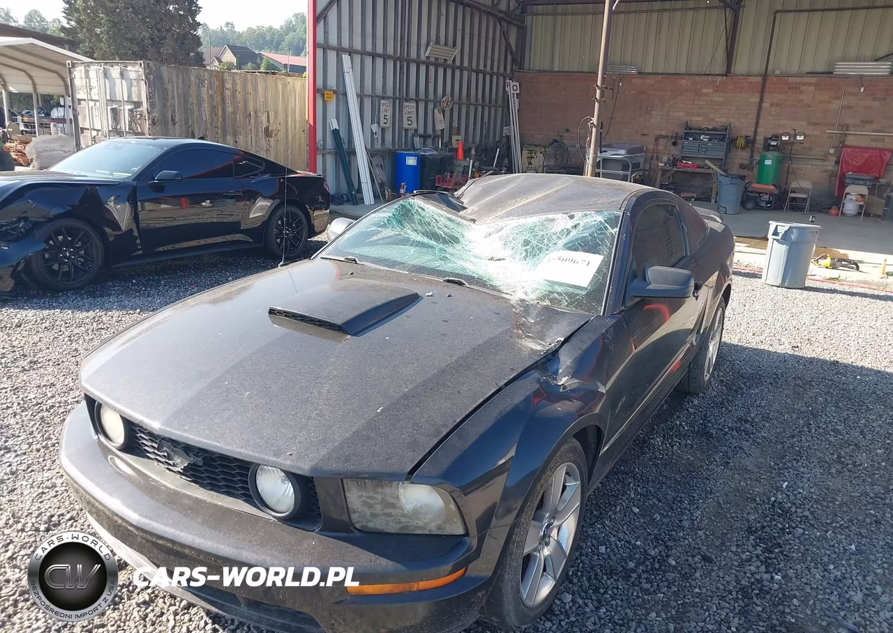 2007 Ford Mustang Gt Deluxe-Gt Premium VIN:1ZVHT82H175266214 - 6