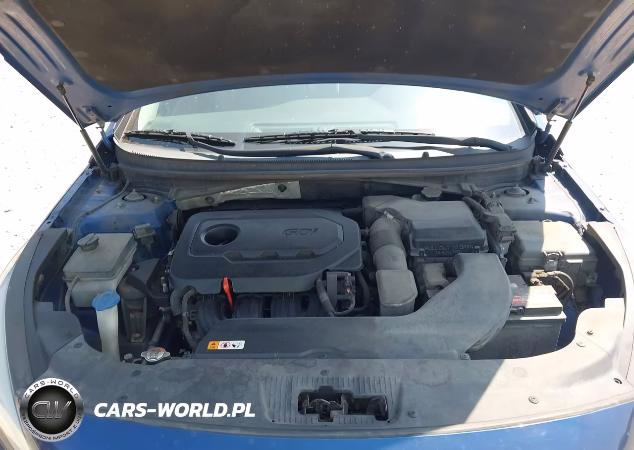 2016 Hyundai Sonata Se VIN:5NPE24AF1GH333251 - 10