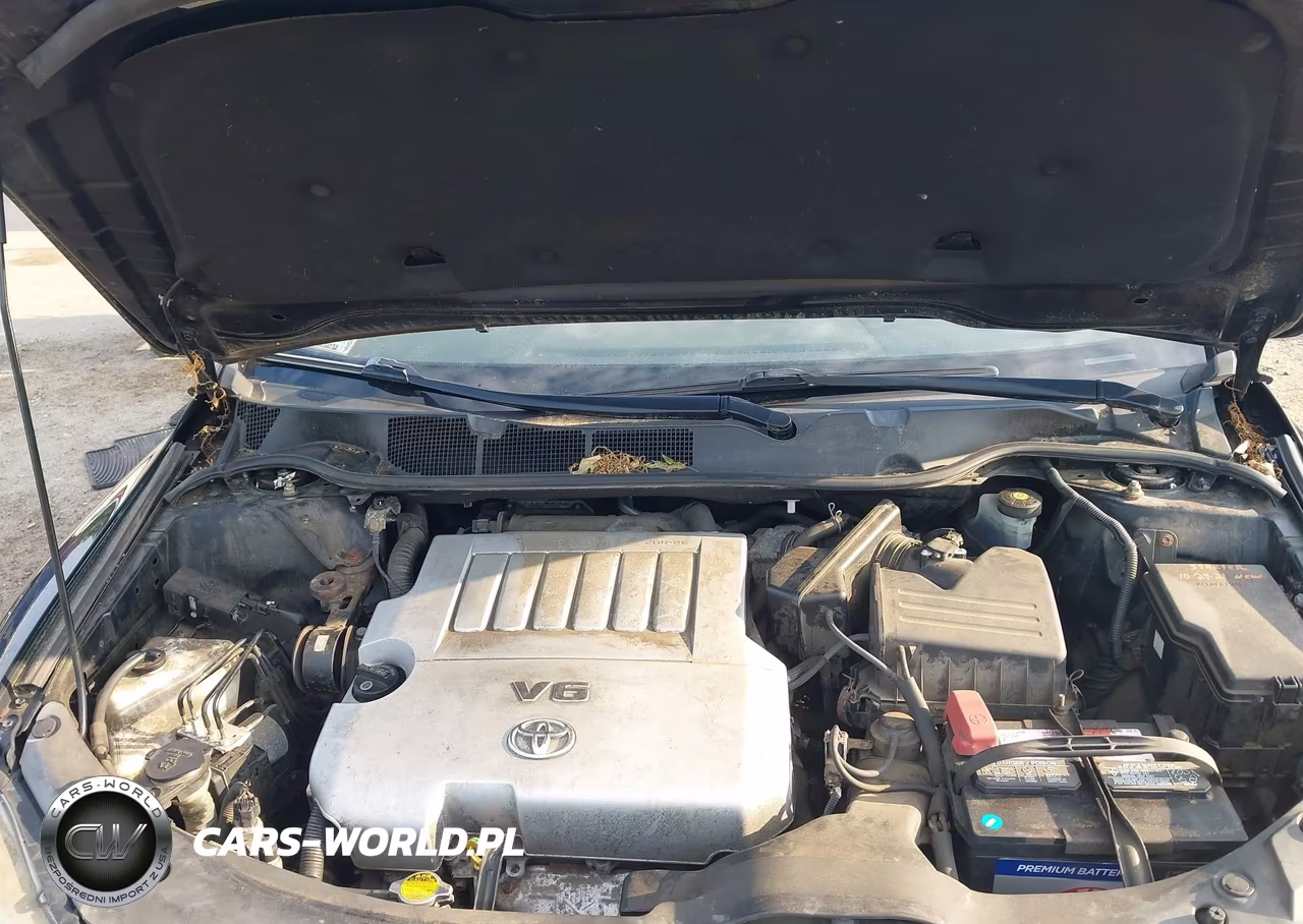 2009 Toyota Venza Base V6 VIN:4T3BK11A49U006229 - 10