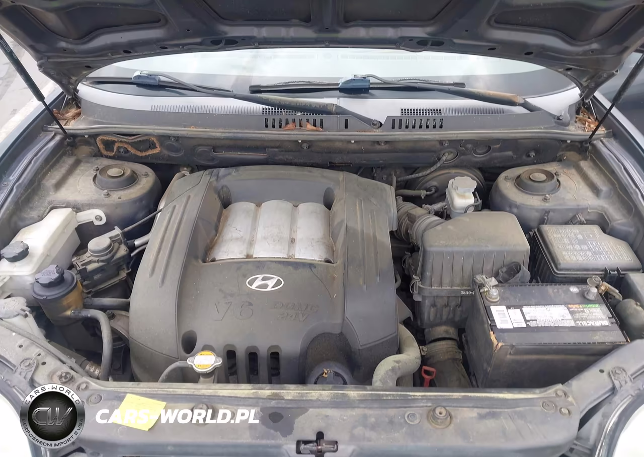 2006 Hyundai Santa Fe Gls VIN:KM8SC13D26U081875 - 10