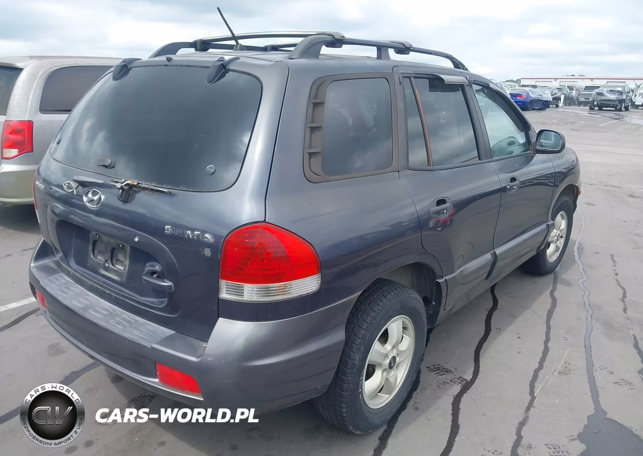 2006 Hyundai Santa Fe Gls VIN:KM8SC13D26U081875 - 4