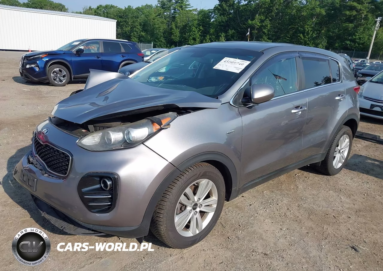 2019 Kia Sportage Lx VIN:KNDPMCAC1K7528895 - 2