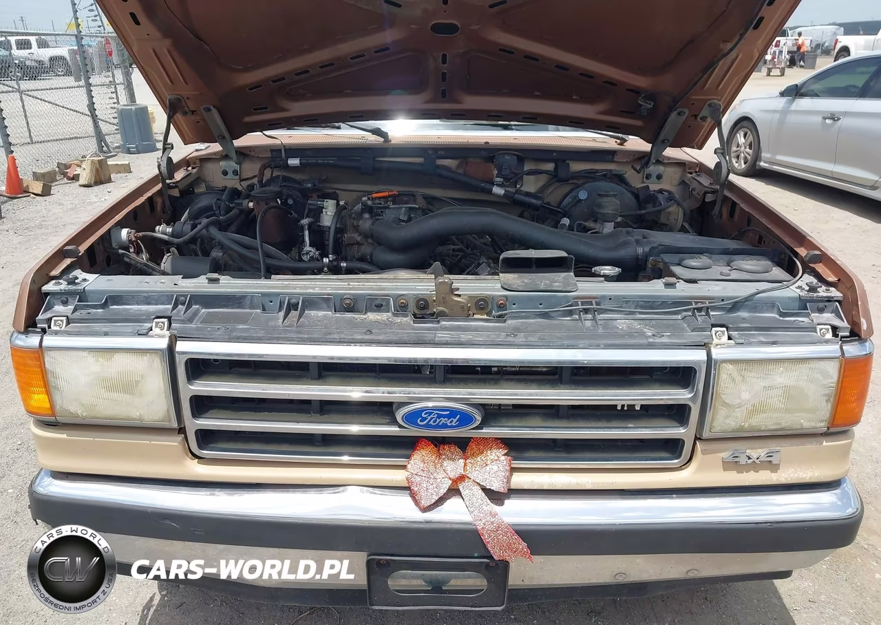 1989 Ford Bronco U100 VIN:1FMEU15N8KLB18962 - 10