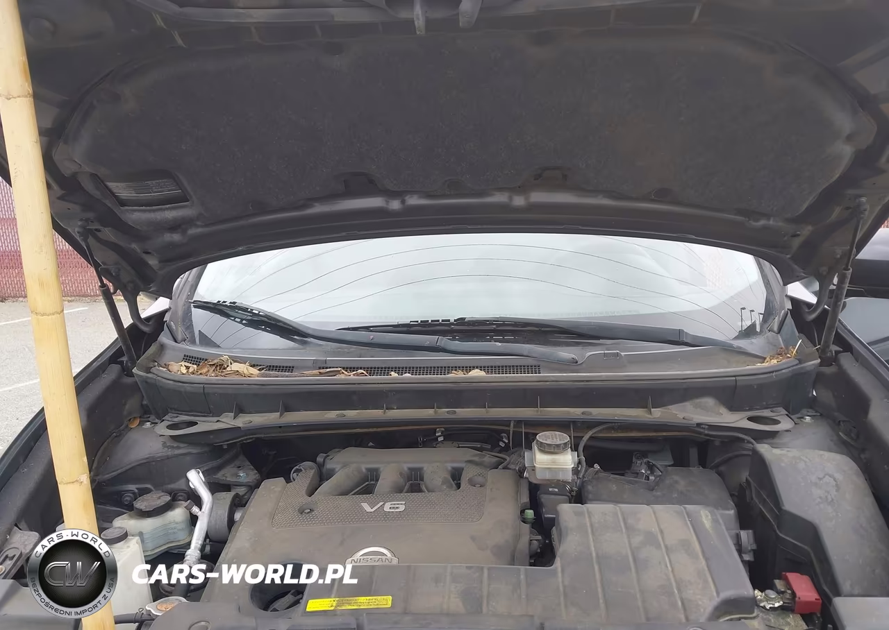 2011 Nissan Murano Sv VIN:JN8AZ1MU3BW054703 - 10
