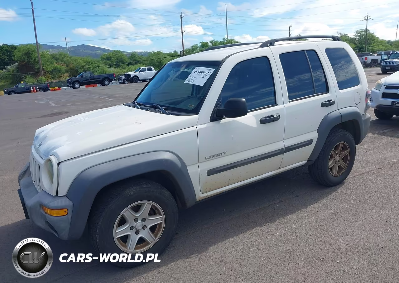 2004 Jeep Liberty Sport VIN:1J4GK48K04W236571 - 2