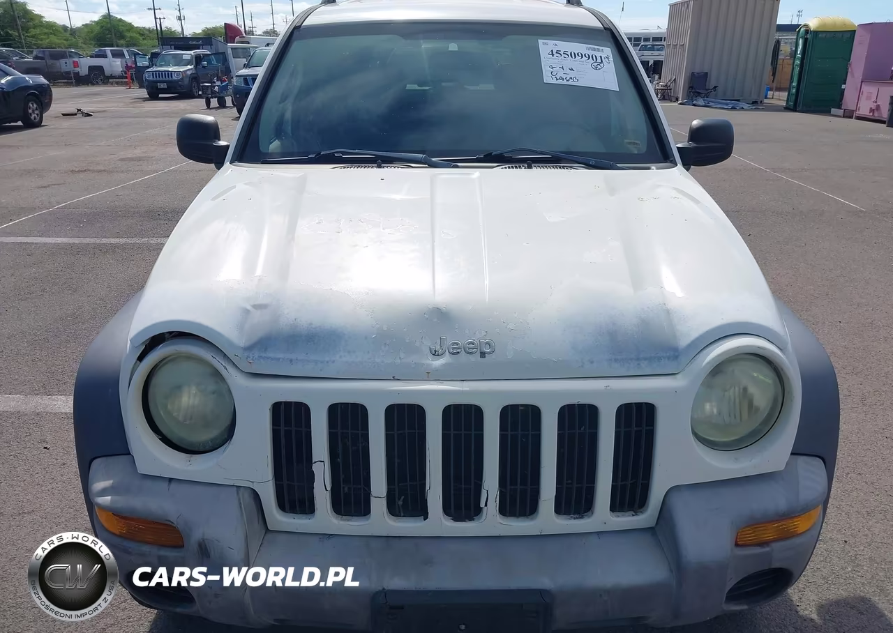 2004 Jeep Liberty Sport VIN:1J4GK48K04W236571 - 6