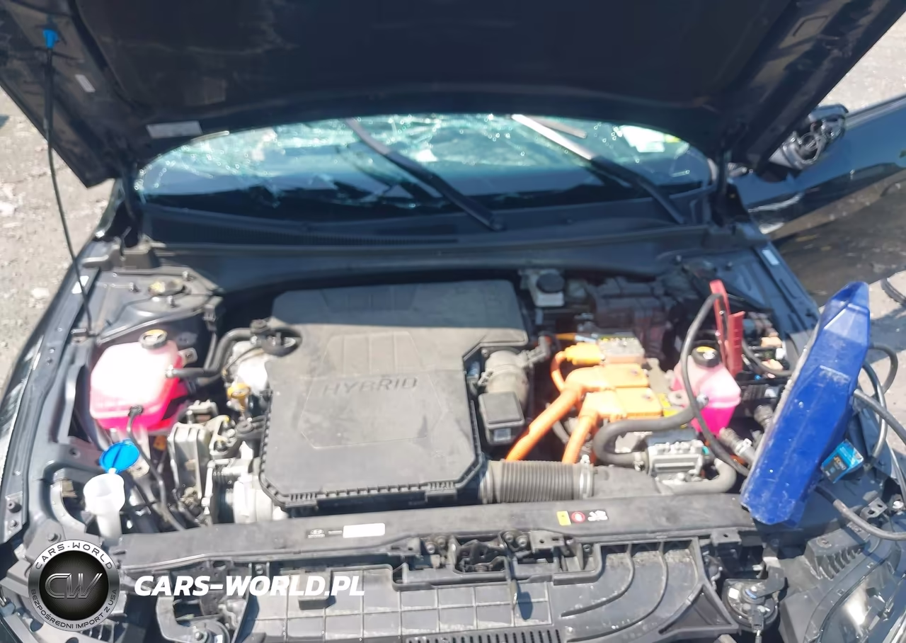 2024 Hyundai Elantra Hybrid Blue VIN:KMHLM4DJXRU093963 - 10